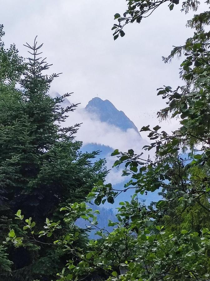 Pokoje Goscinne "Tecza" Zakopane Exterior photo