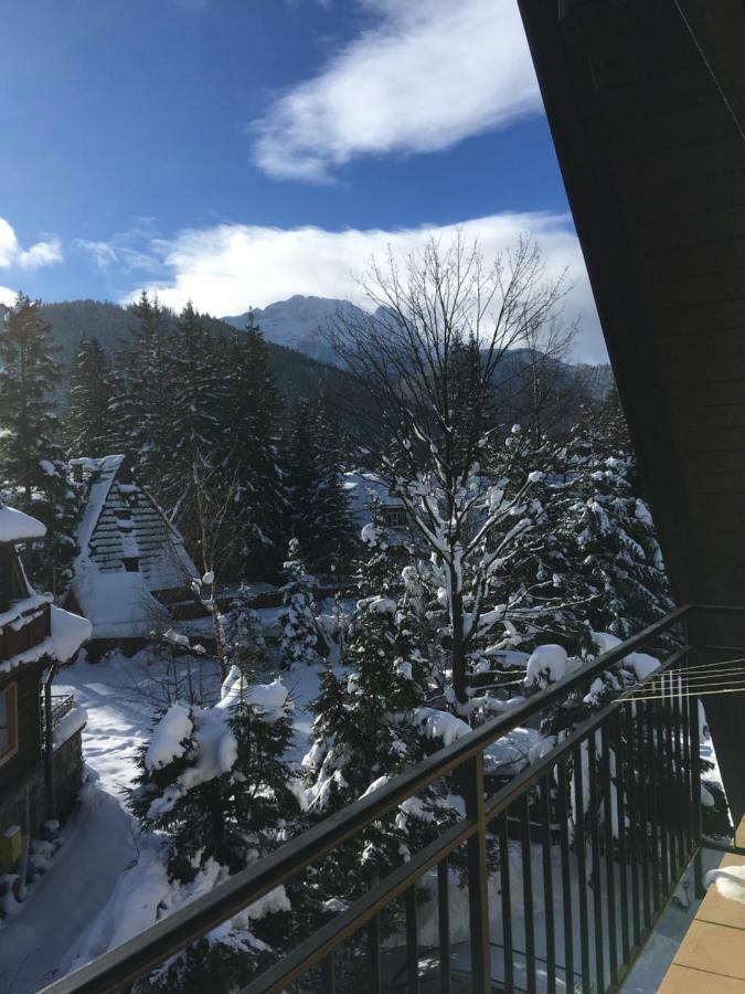 Pokoje Goscinne "Tecza" Zakopane Exterior photo